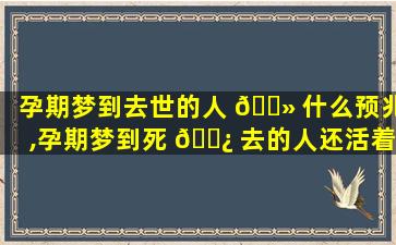 孕期梦到去世的人 🌻 什么预兆,孕期梦到死 🌿 去的人还活着是什么意思
